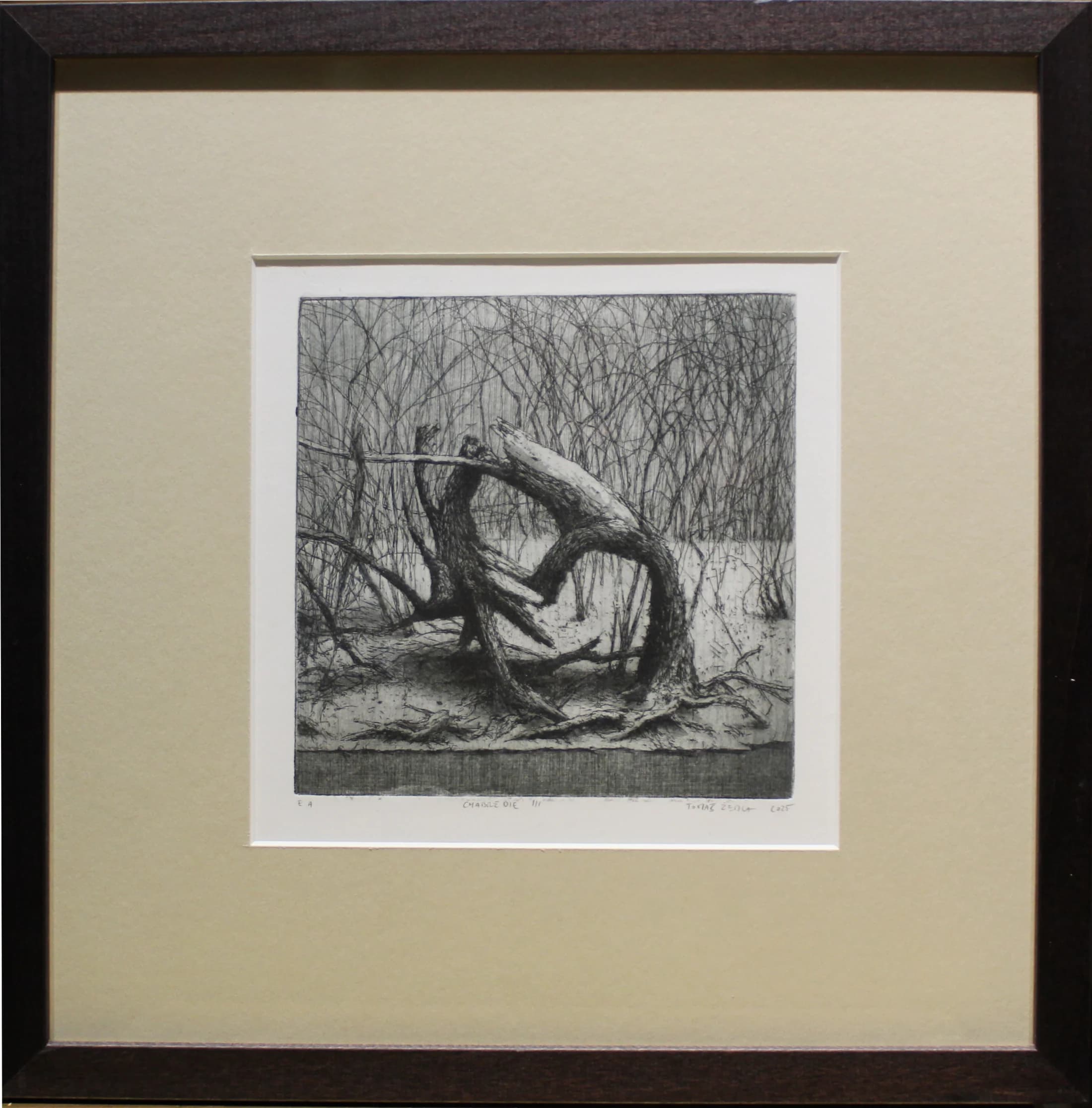 Tomáš Žemla (1984) / Chábrždie III - 1