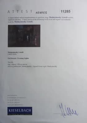 Ladislav Mednyánszky (1852 - 1919) / Nočné svetlá  thumbnail 7