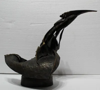 Ján Svítek (1959) / Vták Konkord-ák