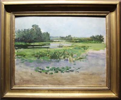 Nándor Katona (1864 - 1932) / Krajina s rybníkom
